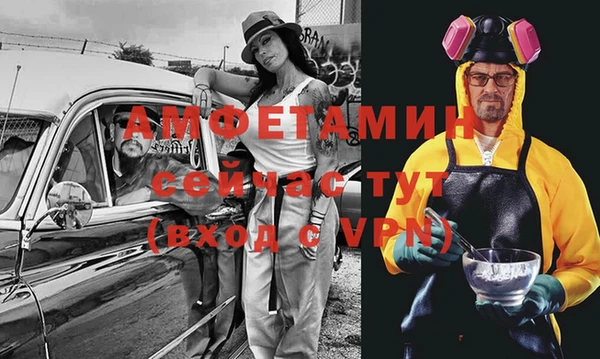 прущие грибы Баксан