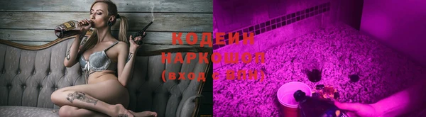 прущие грибы Баксан