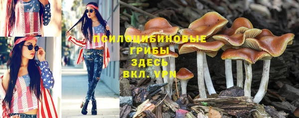 гашишное масло Аркадак